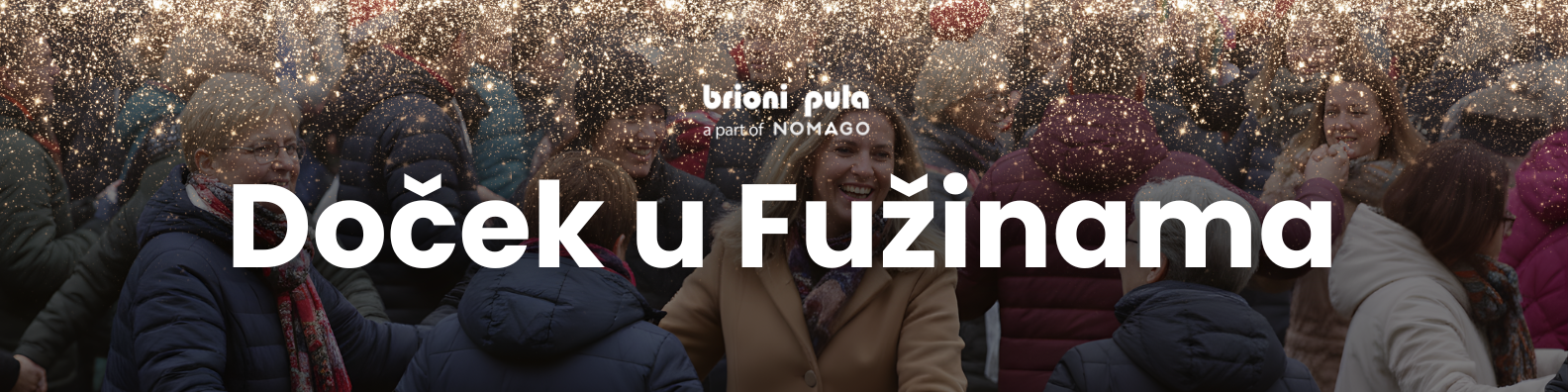 Banner Fuzine